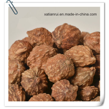 Manufacturer Sharpleaf Galangal Fruit Extract Powder/ Alpinia Oxyphylla